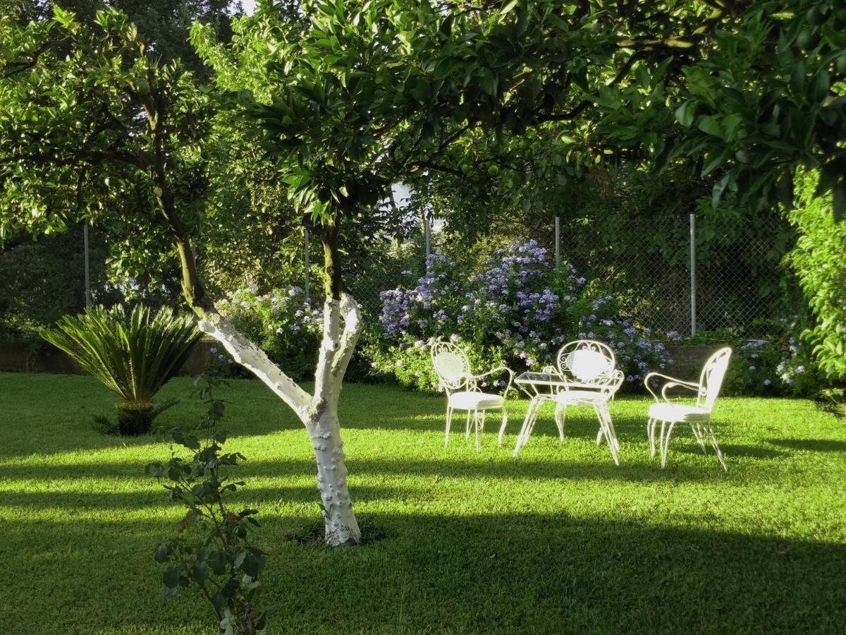 Casa Malu Boutique Studio No 4 กูเวีย ภายนอก รูปภาพ